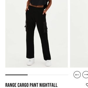 Beach riot range cargo pants in nightfall size small